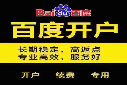 百度推广排名案例解读：旅游行业如何运用其扩大影响力
